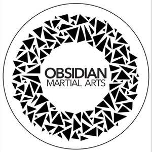Team Page: Obsidian: Veterans Day Seminar